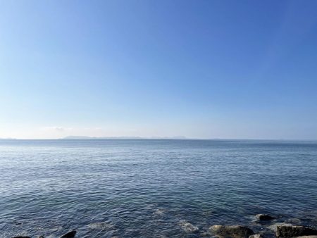 苅谷波止で何が釣れるか初釣行 一応キス狙い!